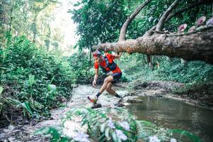 BIB: 
                            <button type="button" onclick="openModal(25430583)" class="btn btn-primary btn-sm float-right btn-popup" data-toggle="modal" data-target=".modal-high-quality">
                        <i class="fas fa-shopping-cart"></i> Add to Cart
                    </button>
                                            <button type="button" onclick="isThisMe(25430583, true)" class="btn btn-success btn-sm float-right btn-popup btn-isme hidden" data-toggle="tooltip" data-placement="bottom" title="นี่คือรูปของคุณใช่ไหม คลิกที่นี่เพื่อเอาเข้าอัลบั้ม">
                        <i class="fas fa-plus"></i> Add to album
                    </button>
                    <button type="button" onclick="isThisMe(25430583, false)" class="btn btn-warning btn-sm float-right btn-popup btn-isnotme hidden">
                        <i class="fas fa-ban"></i> Remove from album
                    </button>